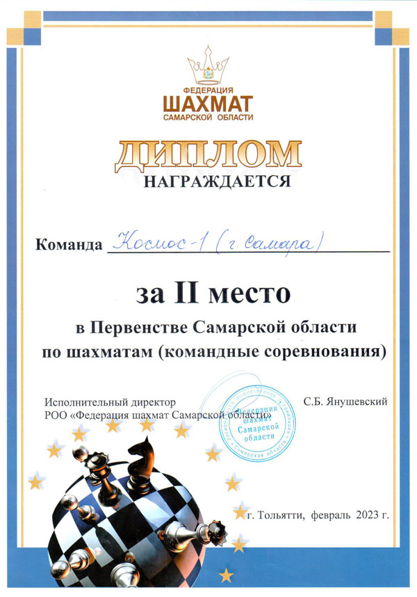 шахматы 2 место